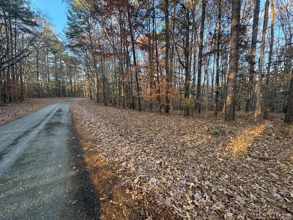 Residential Lot-Restricted,Unimproved Land at LOT 64 Windward Passage, Bracey VA 23919, Bracey, photo 7 of 22