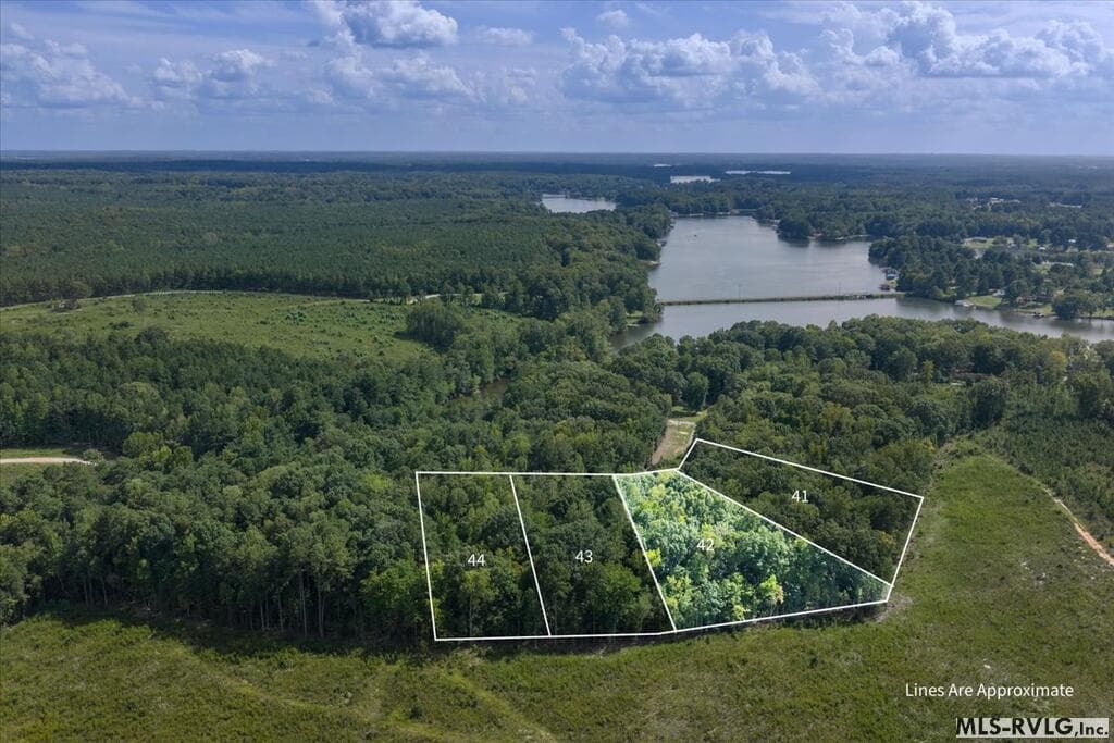 Residential Lot-Restricted,Unimproved Land at Lot 42 Valentines St., Gasburg VA 23857, Gasburg, photo 2 of 14
