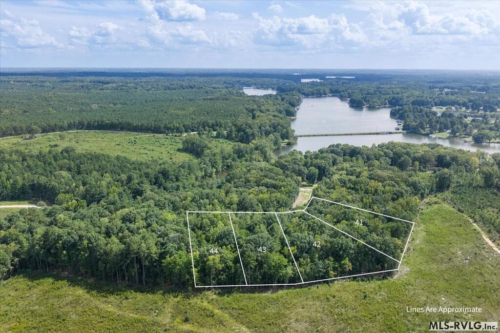 Residential Lot-Restricted,Unimproved Land at Lot 42 Valentines St., Gasburg VA 23857, Gasburg, photo 3 of 14