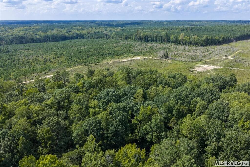 Residential Lot-Restricted,Unimproved Land at Lot 42 Valentines St., Gasburg VA 23857, Gasburg, photo 4 of 14