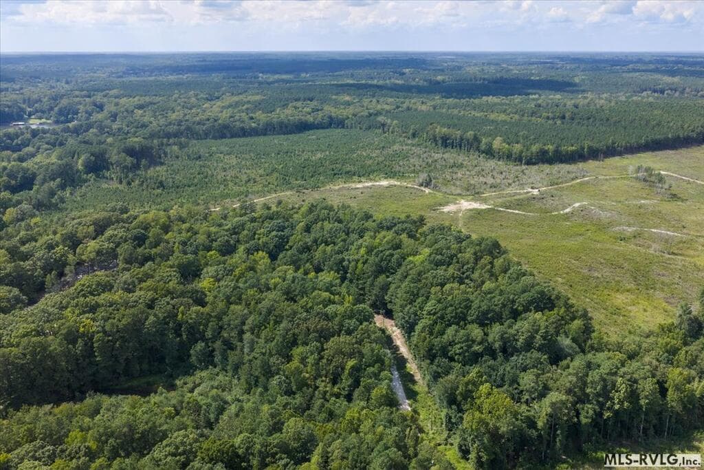 Residential Lot-Restricted,Unimproved Land at Lot 42 Valentines St., Gasburg VA 23857, Gasburg, photo 5 of 14