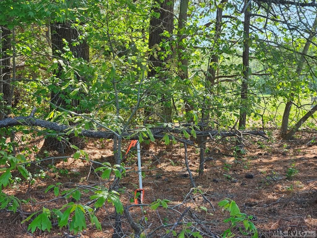 Residential Lot-Restricted,Unimproved Land at Lot #1 Nc Highway 48, Littleton NC 27850, Littleton, photo 3 of 6
