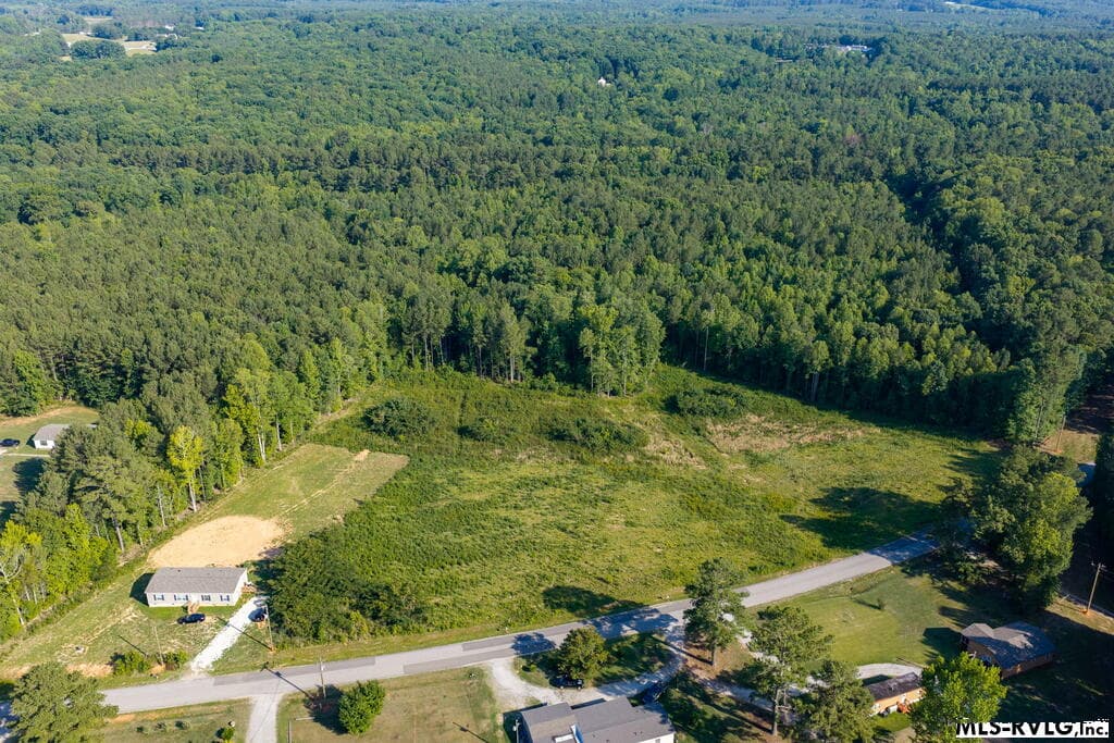 Acreage,Residential Lot-Unrestricted,Double Wide Permitted,Modular On Frame Permitted,Unimproved Land at Lot 2 Oak Road, Brodnax VA 23920, Brodnax, photo 2 of 24