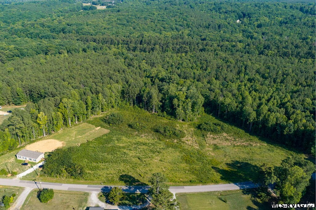 Acreage,Residential Lot-Unrestricted,Double Wide Permitted,Modular On Frame Permitted,Unimproved Land at Lot 2 Oak Road, Brodnax VA 23920, Brodnax, photo 4 of 24