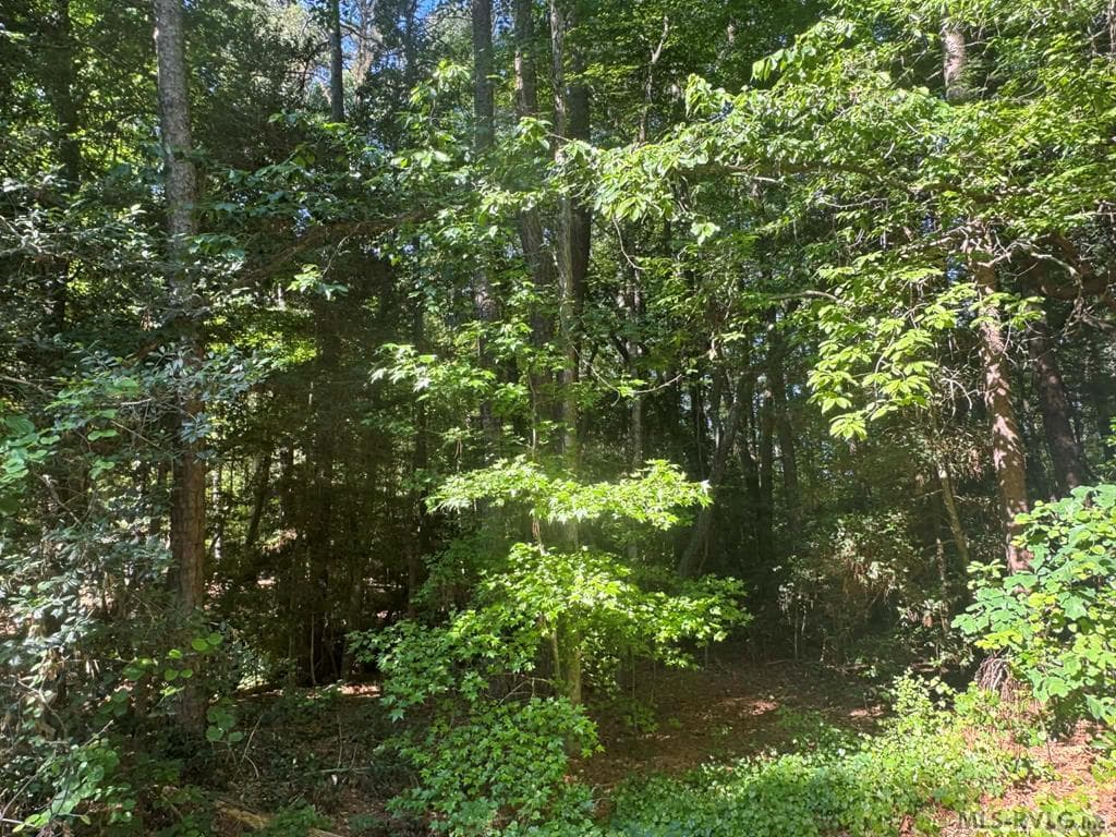 Lot 56P Hickory Ct, Bracey VA 23919