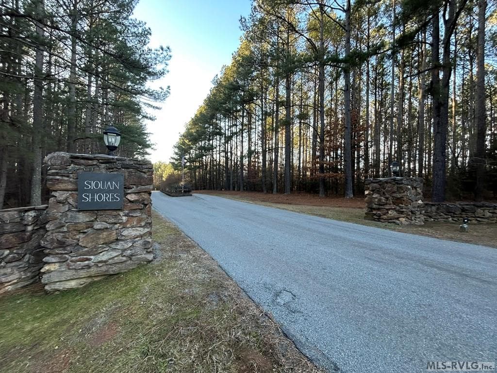 Residential Lot-Restricted,Unimproved Land at 75 Weanock Ln, Ebony VA 23845, Ebony, photo 2 of 11