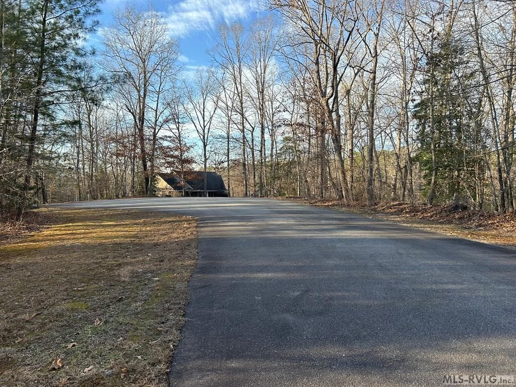 Residential Lot-Restricted,Unimproved Land at 75 Weanock Ln, Ebony VA 23845, Ebony, photo 3 of 11