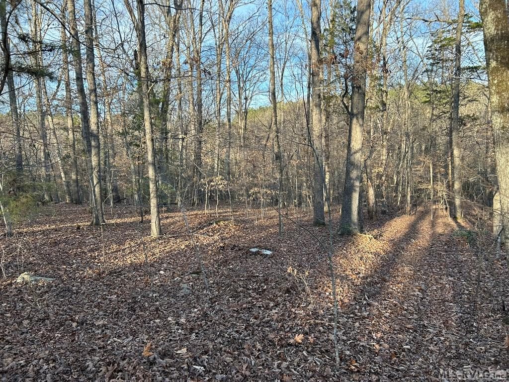Residential Lot-Restricted,Unimproved Land at 75 Weanock Ln, Ebony VA 23845, Ebony, photo 4 of 11
