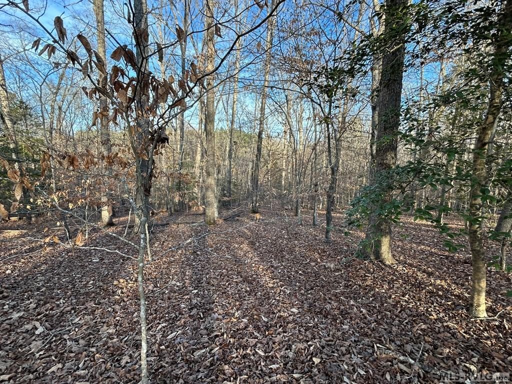 Residential Lot-Restricted,Unimproved Land at 75 Weanock Ln, Ebony VA 23845, Ebony, photo 7 of 11
