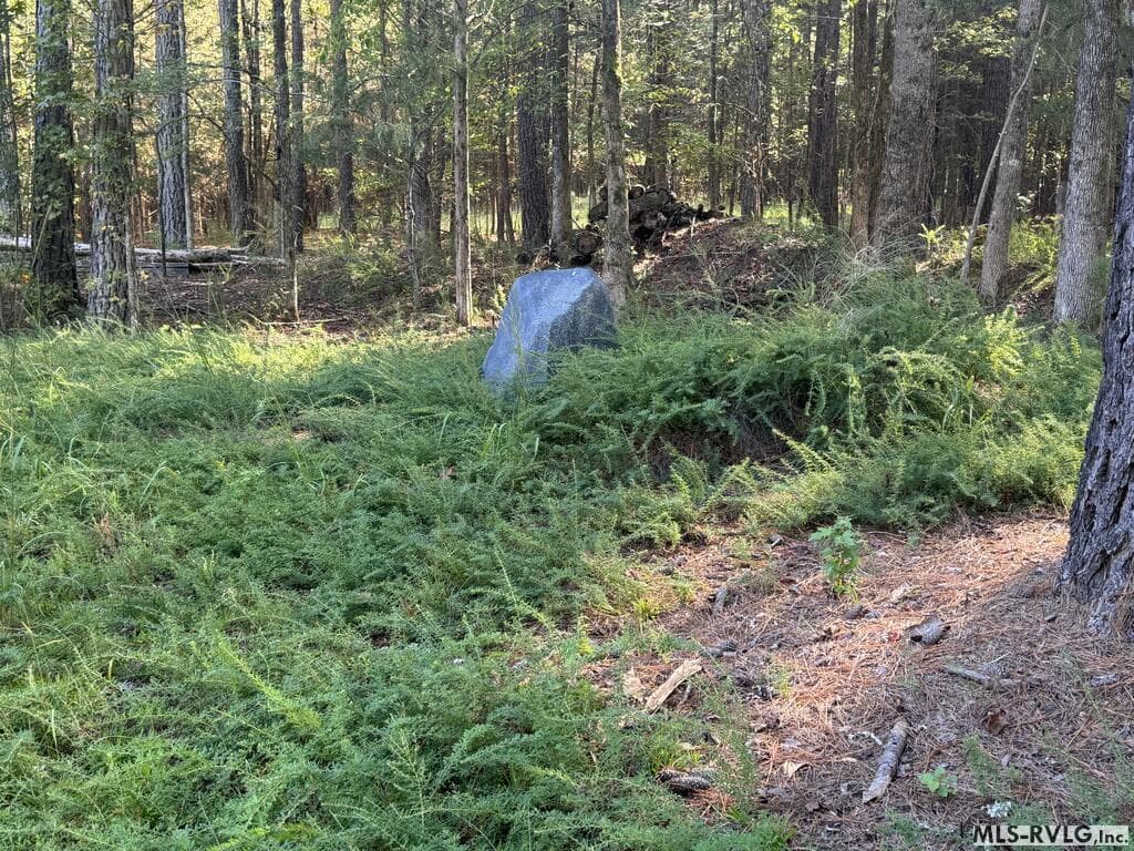 Residential Lot-Restricted at Lot Taylors Pointe Lane, Henderson NC 27537, photo 2 of 34
