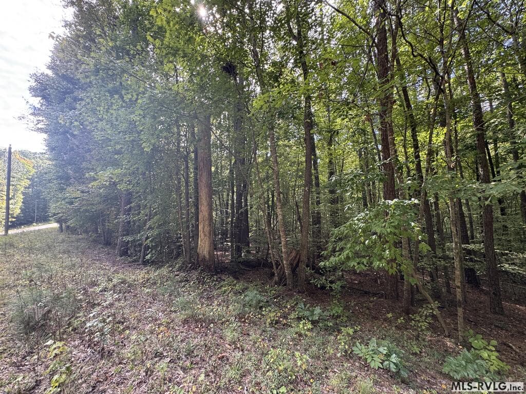 Residential Lot-Restricted at Lot Taylors Pointe Lane, Henderson NC 27537, photo 21 of 34