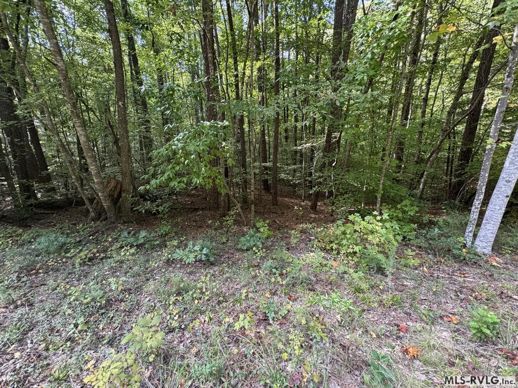 Residential Lot-Restricted at Lot Taylors Pointe Lane, Henderson NC 27537, photo 22 of 34
