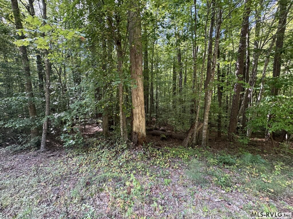 Residential Lot-Restricted at Lot Taylors Pointe Lane, Henderson NC 27537, photo 24 of 34