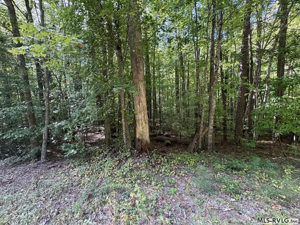 Residential Lot-Restricted at Lot Taylors Pointe Lane, Henderson NC 27537, photo 26 of 34
