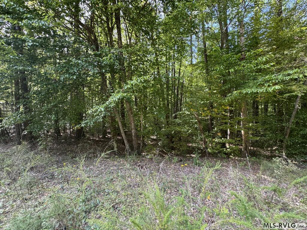 Residential Lot-Restricted at Lot Taylors Pointe Lane, Henderson NC 27537, photo 29 of 34