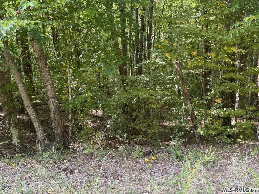 Residential Lot-Restricted at Lot Taylors Pointe Lane, Henderson NC 27537, photo 31 of 34
