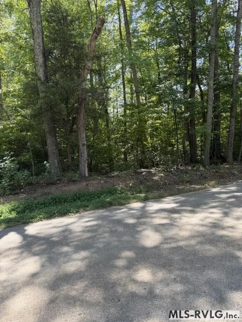 Acreage,Unimproved Land at 000 Go Cart Rd, Brodnax VA 23920, Brodnax, photo 11 of 11
