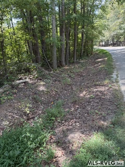 Acreage,Unimproved Land at 000 Go Cart Rd, Brodnax VA 23920, Brodnax, photo 6 of 11