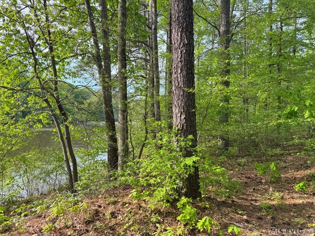 Residential Lot-Restricted at Canoe Creek, Gaston, photo 26 of 37