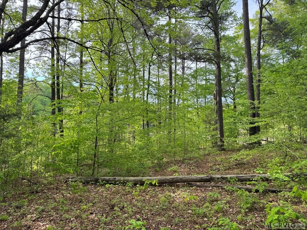 Residential Lot-Restricted at Canoe Creek, Gaston, photo 29 of 37
