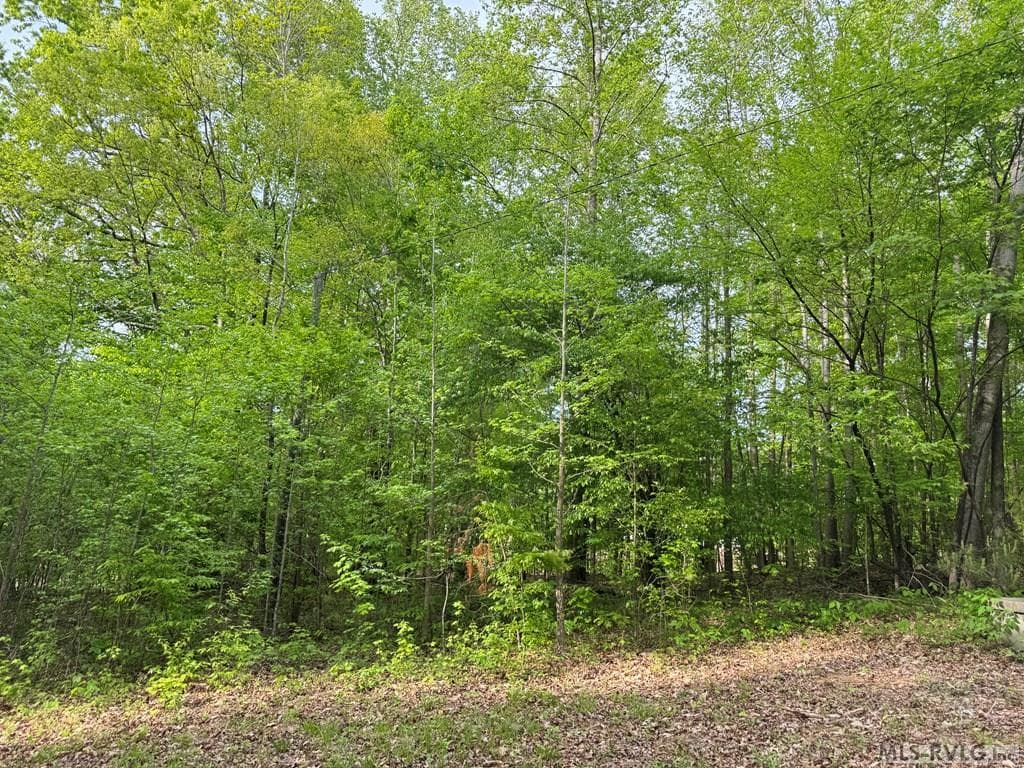 Residential Lot-Restricted at Canoe Creek, Gaston, photo 30 of 37