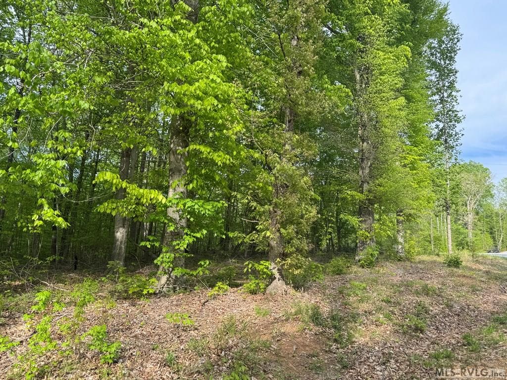 Residential Lot-Restricted at Canoe Creek, Gaston, photo 35 of 37