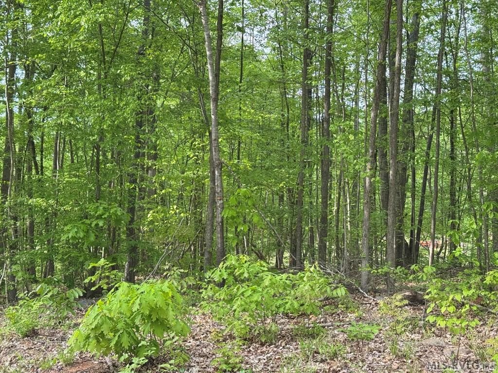 Residential Lot-Restricted at Canoe Creek, Gaston, photo 36 of 37