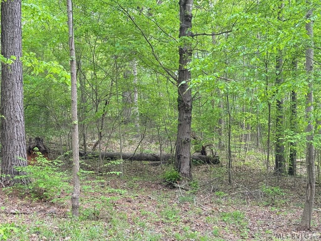 Residential Lot-Restricted at Canoe Creek, Gaston, photo 37 of 37