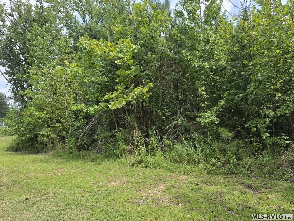 TBD Brickell St., Roanoke Rapids NC 27870