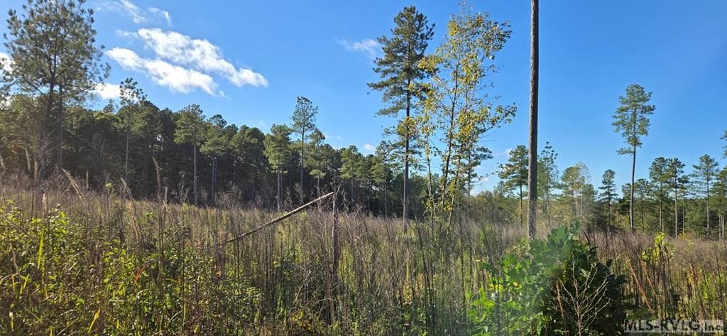 Residential Lot-Unrestricted,Double Wide Permitted,Modular On Frame Permitted,Unimproved Land at Lot C Millville Rd, Lawrenceville VA 23868, Lawrenceville, photo 2 of 7