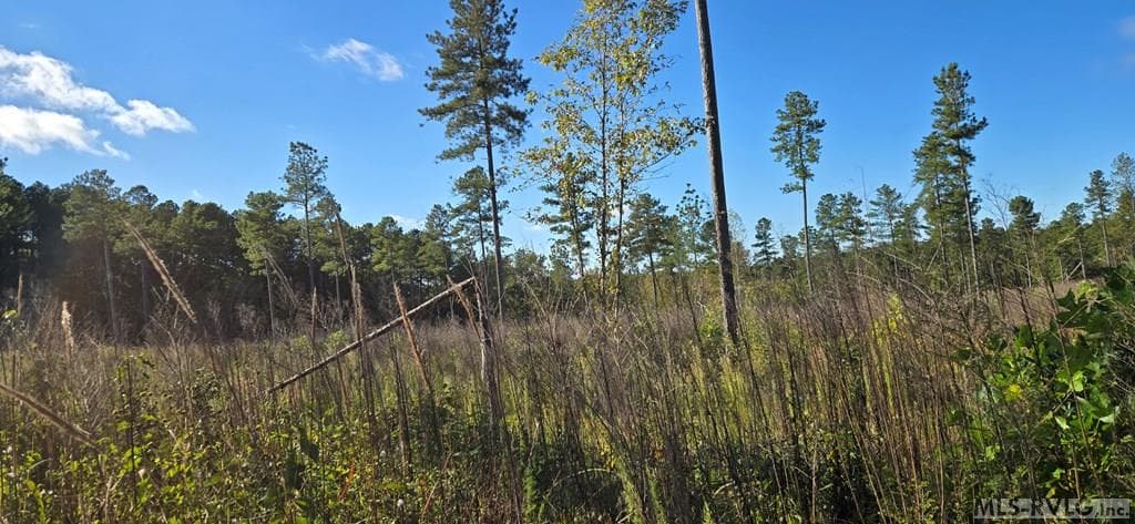 Residential Lot-Unrestricted,Double Wide Permitted,Modular On Frame Permitted,Unimproved Land at Lot C Millville Rd, Lawrenceville VA 23868, Lawrenceville, photo 3 of 7