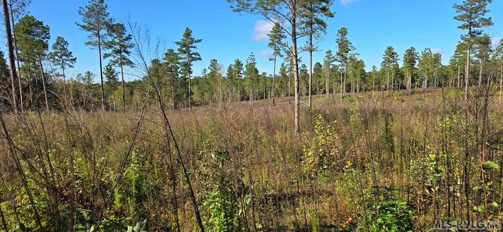 Residential Lot-Unrestricted,Double Wide Permitted,Modular On Frame Permitted,Unimproved Land at Lot C Millville Rd, Lawrenceville VA 23868, Lawrenceville, photo 4 of 7