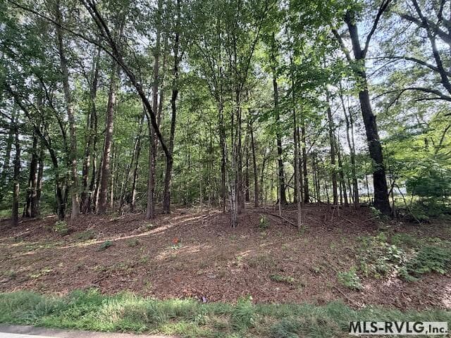 Acreage,Residential Lot-Unrestricted,Unimproved Land at TBD Skipwith Rd, Boydton VA 23917, Boydton, photo 2 of 9