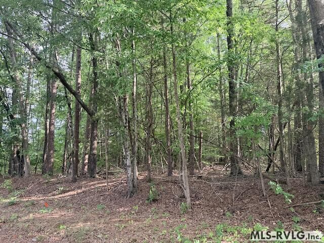 Acreage,Residential Lot-Unrestricted,Unimproved Land at TBD Skipwith Rd, Boydton VA 23917, Boydton, photo 3 of 9