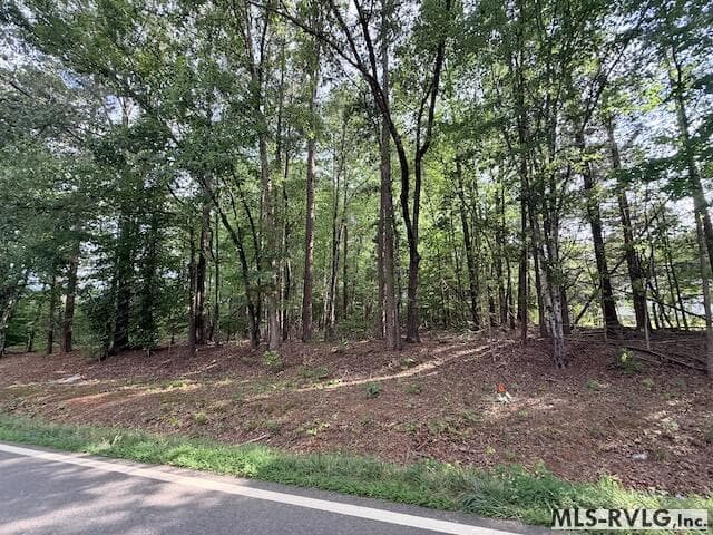 Acreage,Residential Lot-Unrestricted,Unimproved Land at TBD Skipwith Rd, Boydton VA 23917, Boydton, photo 4 of 9