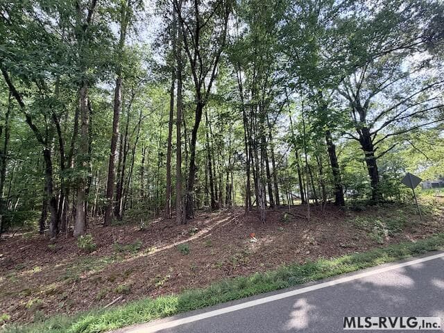 Acreage,Residential Lot-Unrestricted,Unimproved Land at TBD Skipwith Rd, Boydton VA 23917, Boydton, photo 5 of 9