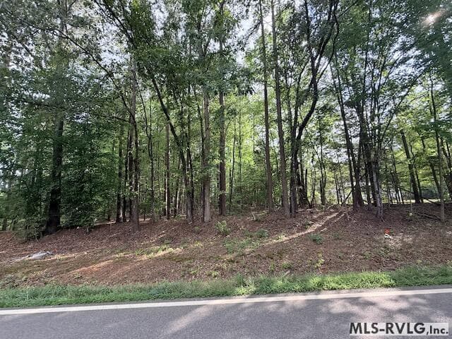 Acreage,Residential Lot-Unrestricted,Unimproved Land at TBD Skipwith Rd, Boydton VA 23917, Boydton, photo 6 of 9