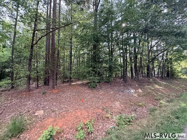 Acreage,Residential Lot-Unrestricted,Unimproved Land at TBD Skipwith Rd, Boydton VA 23917, Boydton, photo 7 of 9