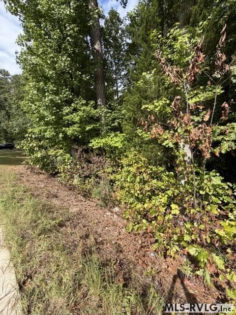 Acreage,Residential Lot-Unrestricted,Single Wide Permitted,Double Wide Permitted,Modular On Frame Permitted,Unimproved Land at 000 Christanna Hwy, Lawrenceville VA 23868, Lawrenceville, photo 4 of 8