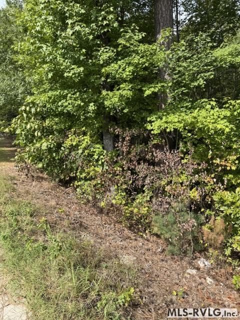 Acreage,Residential Lot-Unrestricted,Single Wide Permitted,Double Wide Permitted,Modular On Frame Permitted,Unimproved Land at 000 Christanna Hwy, Lawrenceville VA 23868, Lawrenceville, photo 5 of 8