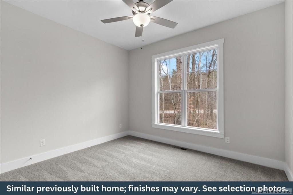 Residential/Vacation at 435 Raleigh Ave, South Hill VA 23970, photo 14 of 19