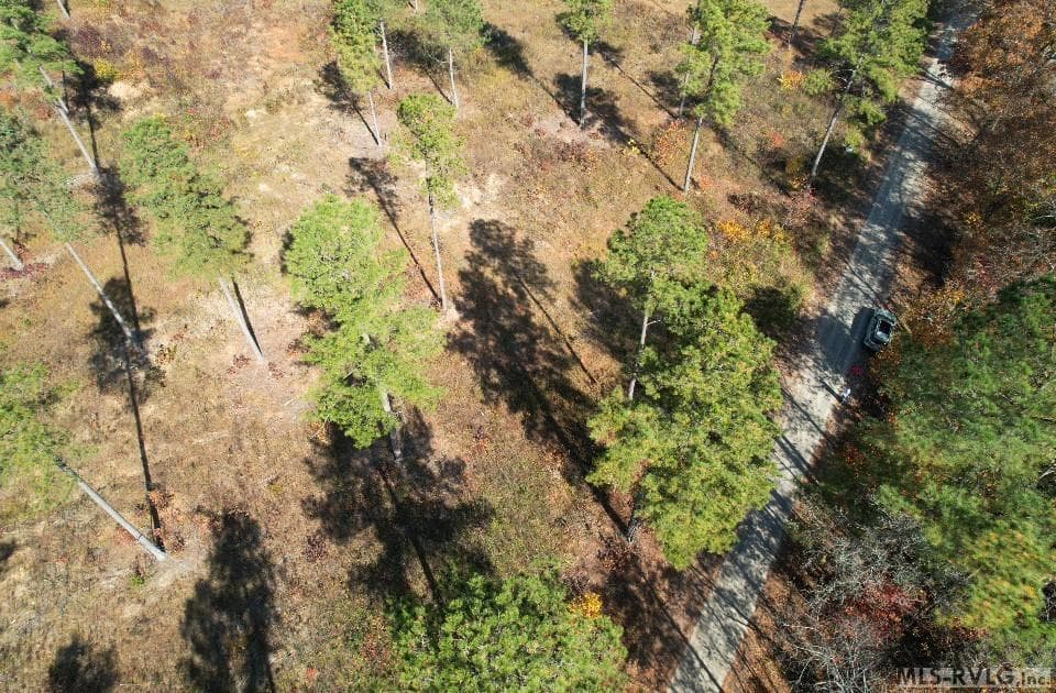 Residential Lot-Unrestricted,Double Wide Permitted,Modular On Frame Permitted,Unimproved Land at Lot 8 Millville Rd, Lawrenceville VA 23868, Lawrenceville, photo 5 of 6