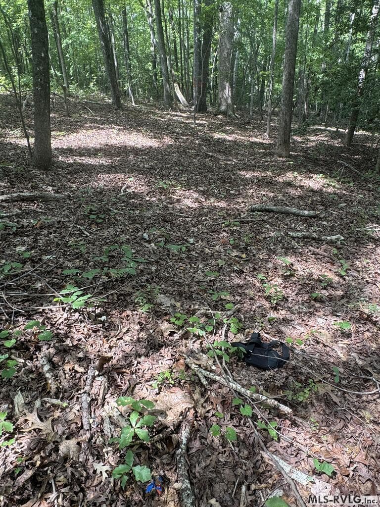 Other-See Remarks,Unimproved Land at Lot 1D Mill Creek Road, Clarksville VA 23927, Clarksville, photo 14 of 17