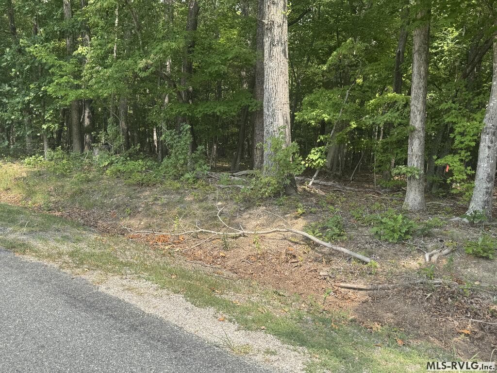 Other-See Remarks,Unimproved Land at Lot 1D Mill Creek Road, Clarksville VA 23927, Clarksville, photo 9 of 17