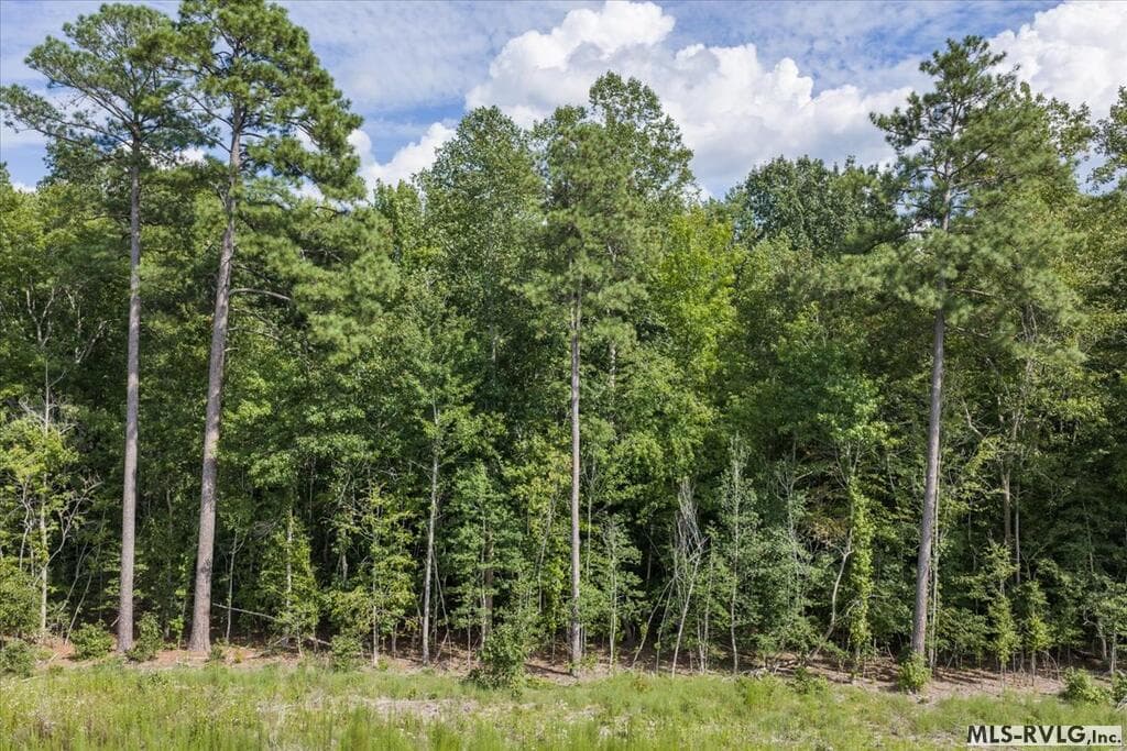 Residential Lot-Restricted,Unimproved Land at Lot 41 Valentines St., Gasburg VA 23857, Gasburg, photo 10 of 14