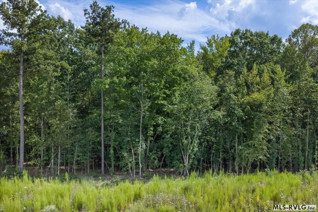 Residential Lot-Restricted,Unimproved Land at Lot 41 Valentines St., Gasburg VA 23857, Gasburg, photo 11 of 14