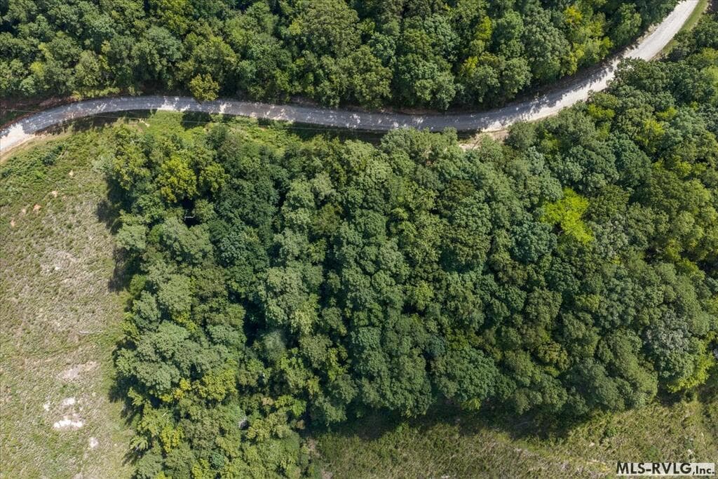 Residential Lot-Restricted,Unimproved Land at Lot 41 Valentines St., Gasburg VA 23857, Gasburg, photo 13 of 14