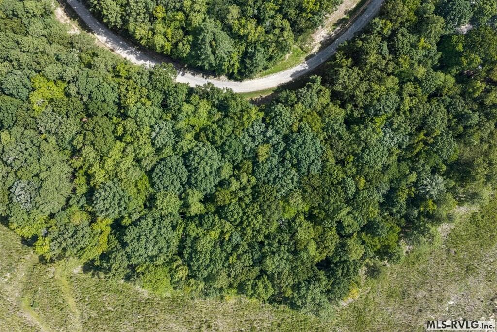Residential Lot-Restricted,Unimproved Land at Lot 41 Valentines St., Gasburg VA 23857, Gasburg, photo 14 of 14