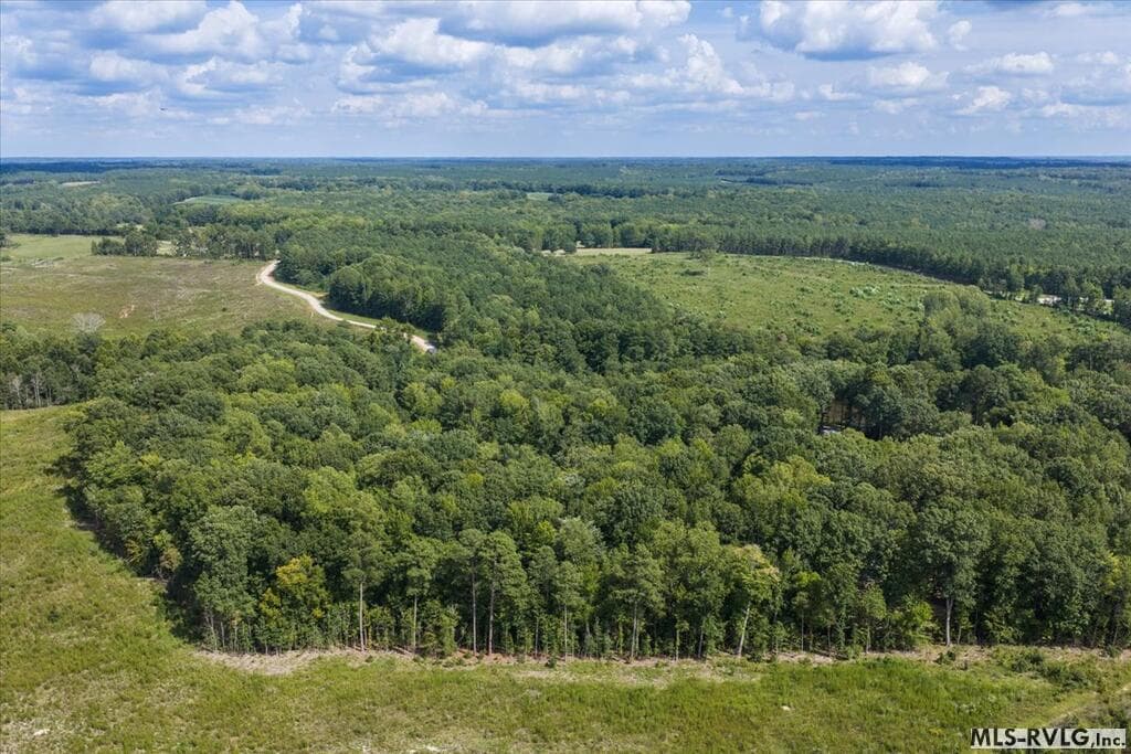 Residential Lot-Restricted,Unimproved Land at Lot 41 Valentines St., Gasburg VA 23857, Gasburg, photo 9 of 14