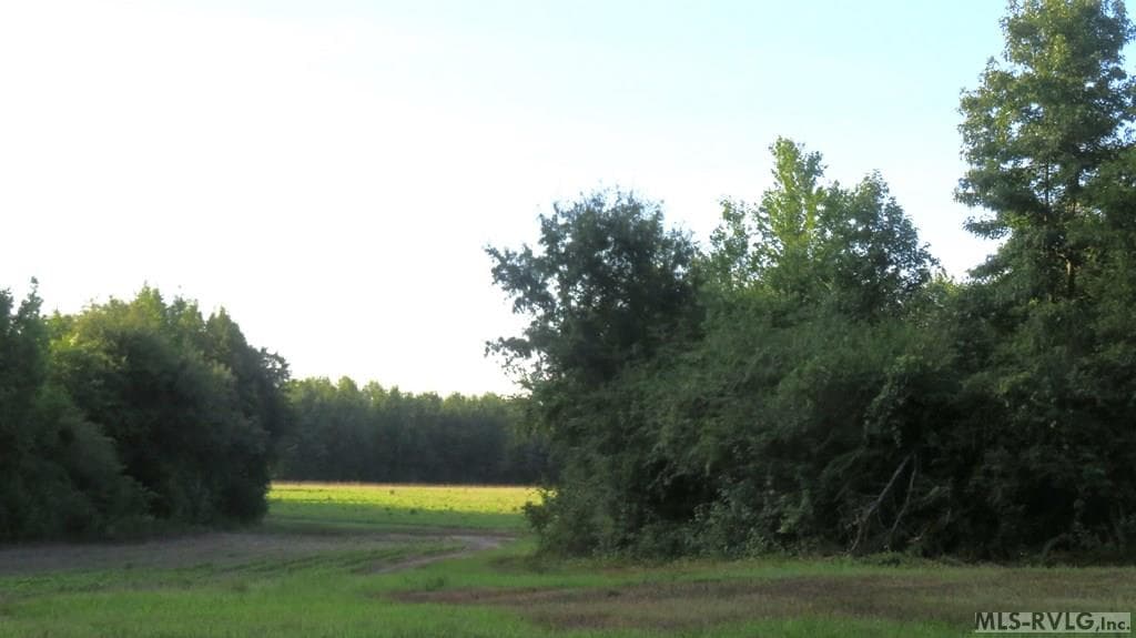 Acreage at 0 Off Justice Branch Road, Halifax NC 27839, photo 3 of 6